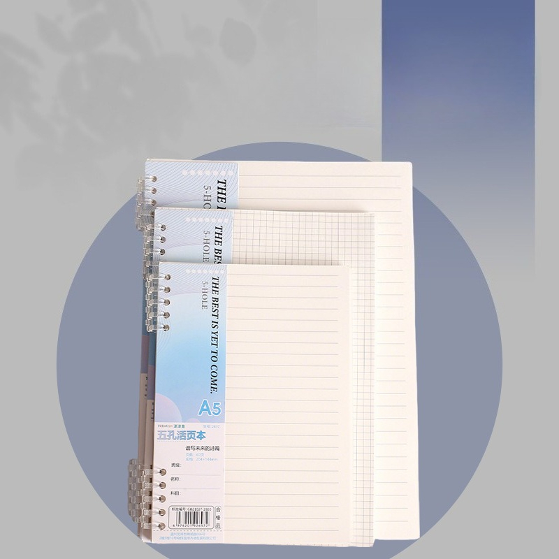 Ricarica per quaderno a fogli  - A5 Spiral Dotted Grid Notebook recensione e prezzo